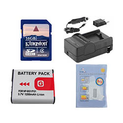 Synergy Digital Accessory Kit, Works with Sony Cyber-shot DSC-HX10V Digital Camera includes: SDNPBG1 Battery, SDM-175 Charger, ZELCKSG Care & Cleaning, SD4/16GB Memory Card