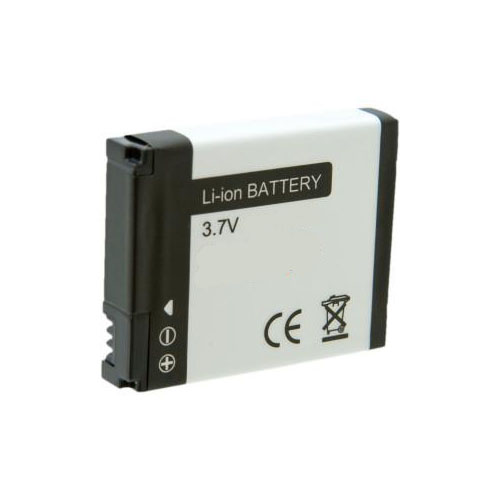 Batteries for GoProCamcorder