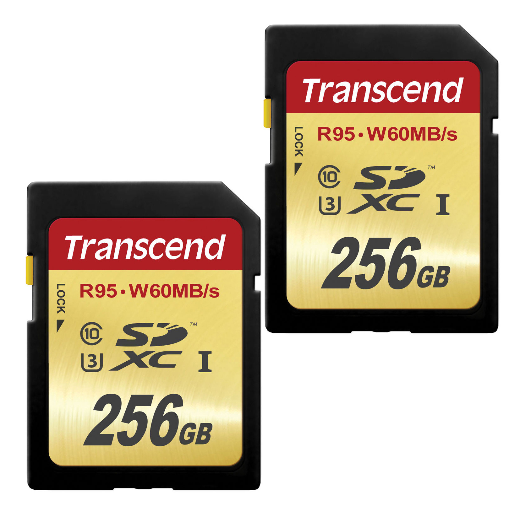2 x 256GB Secure Digital Class 10 Extreme Capacity (SDXC) Memory Card