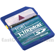 Secure Digital (SD) 1GB Memory Card