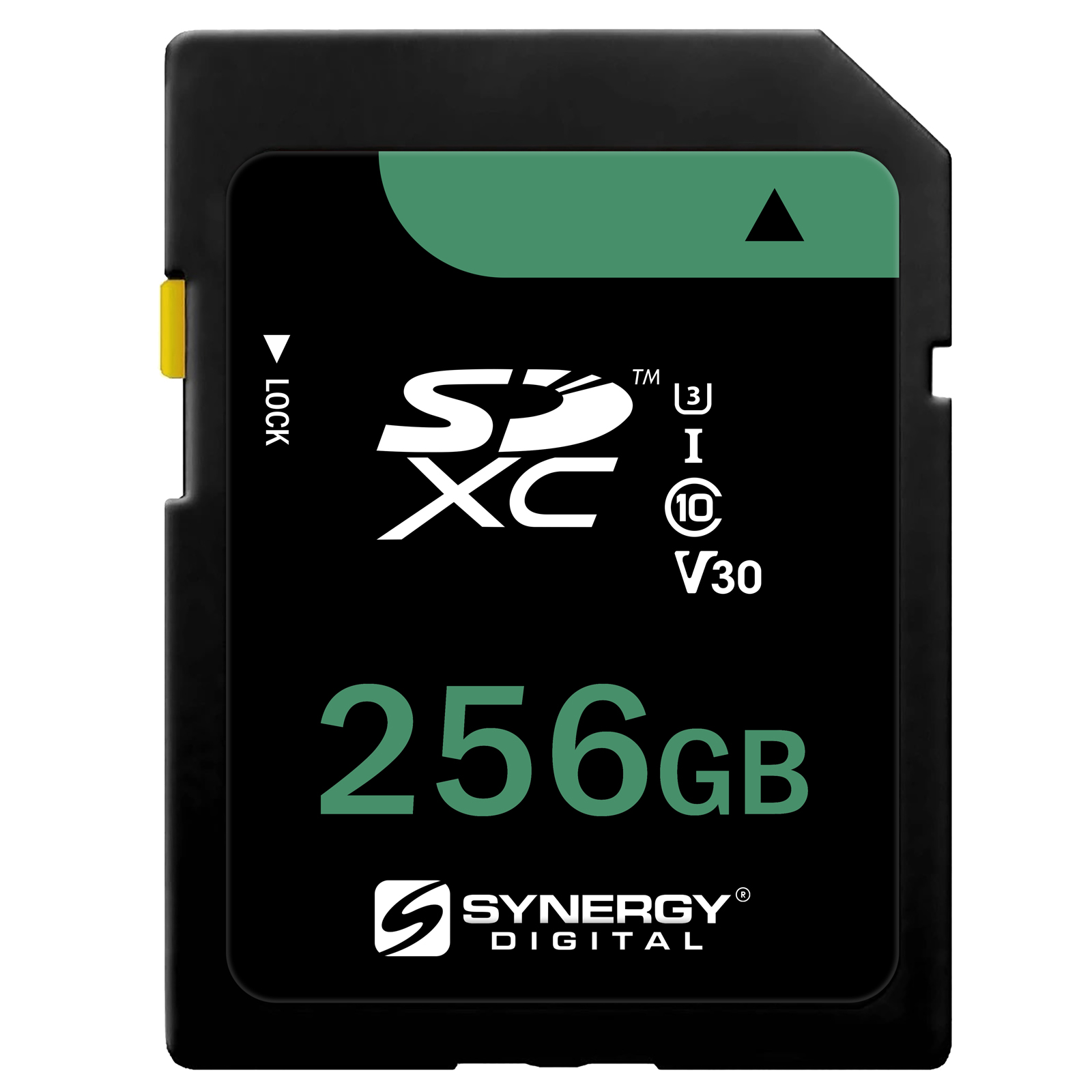 256GB Secure Digital Class 10 Extreme Capacity (SDXC) Memory Card