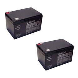 SLA10-12 Sealed Lead Acid Battery (12 Volt, 10 Ah) Ultra High Capacity - Set Of 2