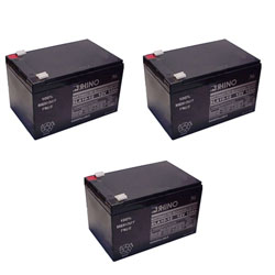 SLA10-12 Sealed Lead Acid Battery (12 Volt, 10 Ah) Ultra High Capacity - Set Of 3